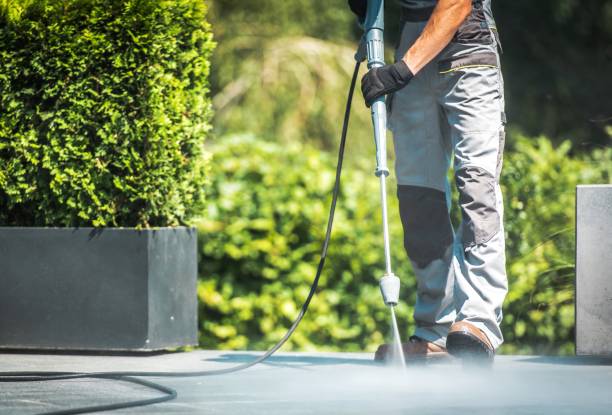 Best Fence Cleaning  in Freeport, PA